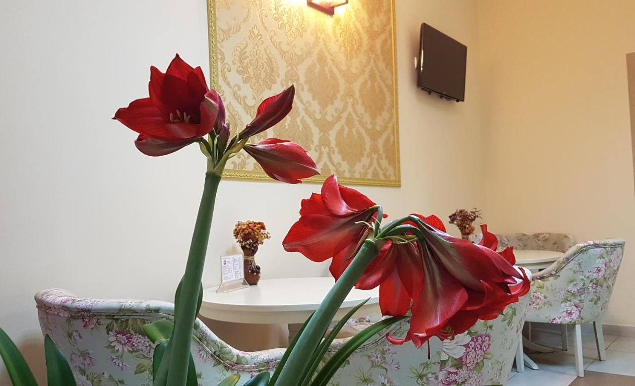 Hotel New Baia Mare Extérieur photo